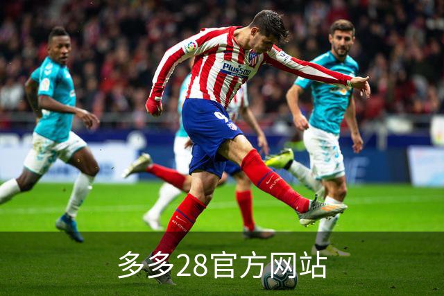 多多28官方网站公司简介